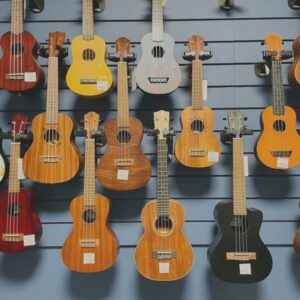 Musical Instruments & Fittings Thereof